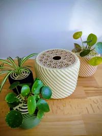 Planter Size L