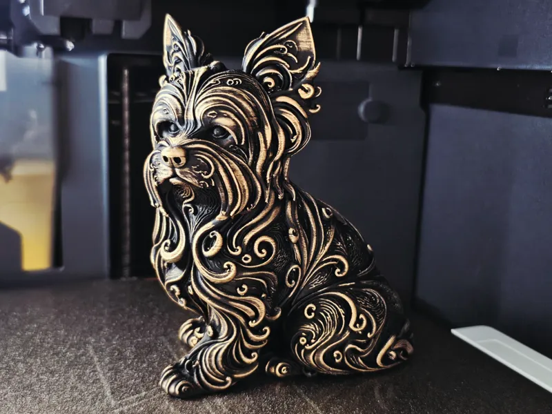 Yorkshire terrier, miniature terrier