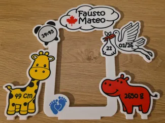 Newborn Picture Frame