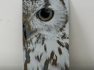 Owl - Hueforge