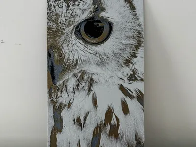 Owl - Hueforge