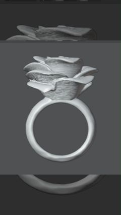 Ring Rose