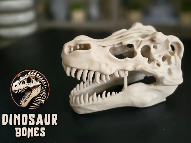 T-Rex Bone Skull