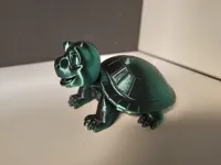 Tortue mignonne — photo 1