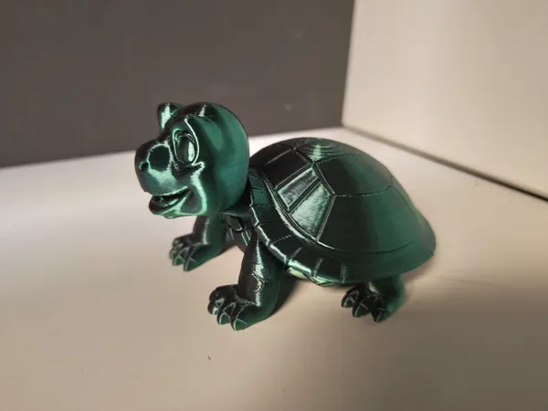 Tortue mignonne