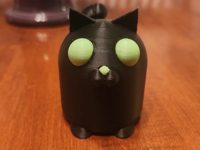 Smooth Cat