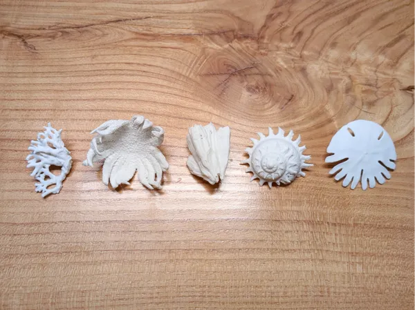 Broches créatures marines