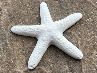 Starfish Deko