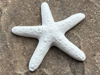 Starfish Decor