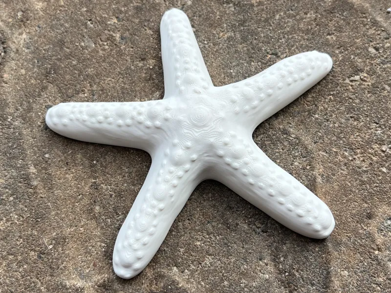 Starfish Deko