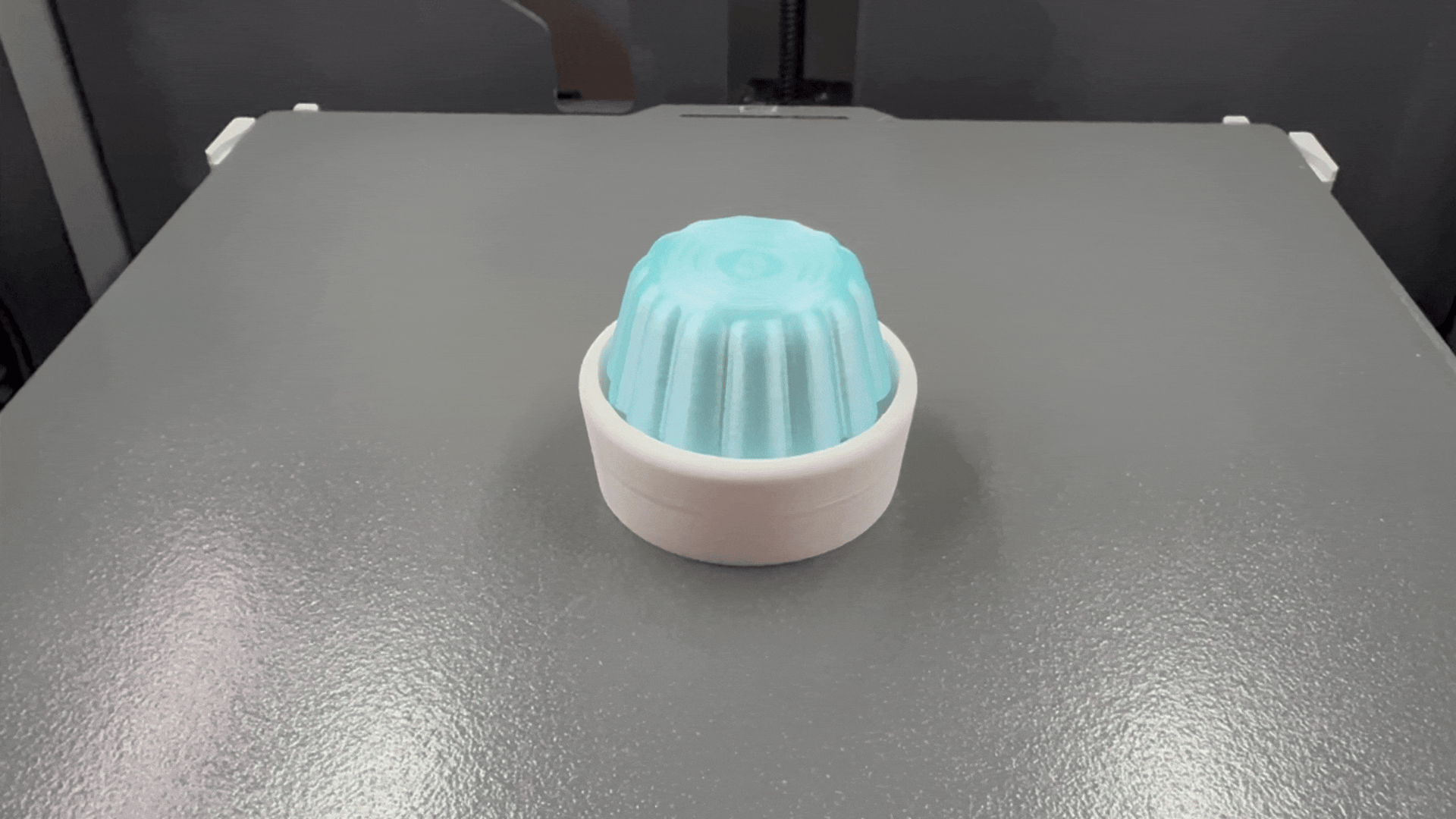 The Wobbly Jelly Clicker Fidget Toy