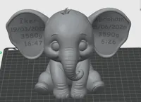 just for murguita 0.16mm layer, 2 walls, 4% infill 