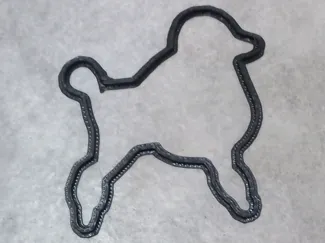 cane biscotti