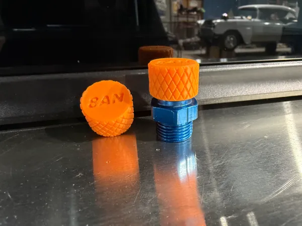 https://makerworld.bblmw.com/makerworld/model/USb8423695a8fb9a/design/2025-12-11_8a02936cb254c.jpeg