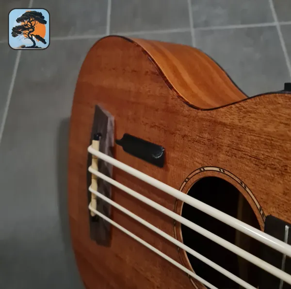 https://makerworld.bblmw.com/makerworld/model/USb8450346f98909/design/2024-12-14_9f93bf6a82d4a.png