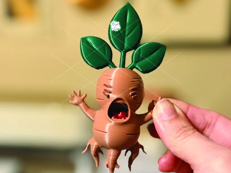 Mandrake With Roots