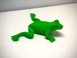 Frog and spider