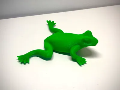 Frog and spider