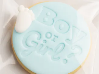 Boy or Girl? Cookie Cutter & Stamp for Baby Shower
