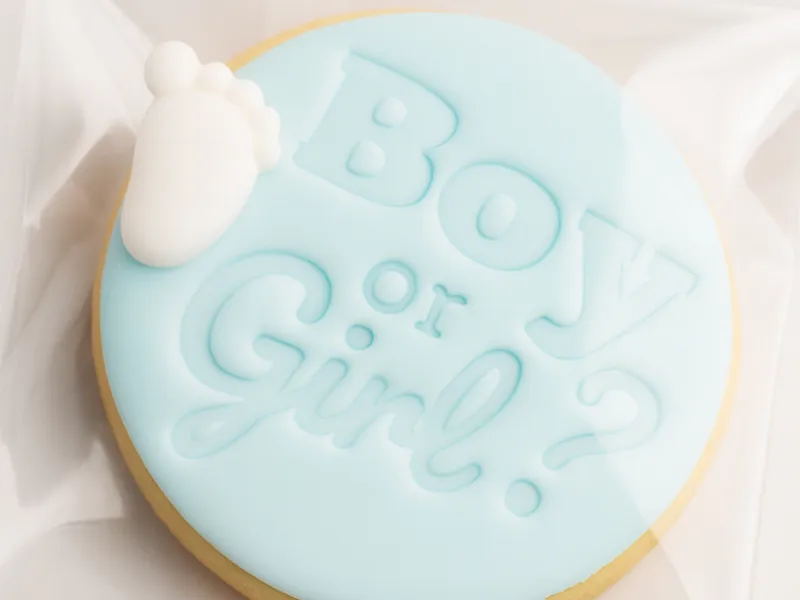 Boy or Girl? Cookie Cutter & Stamp for Baby Shower