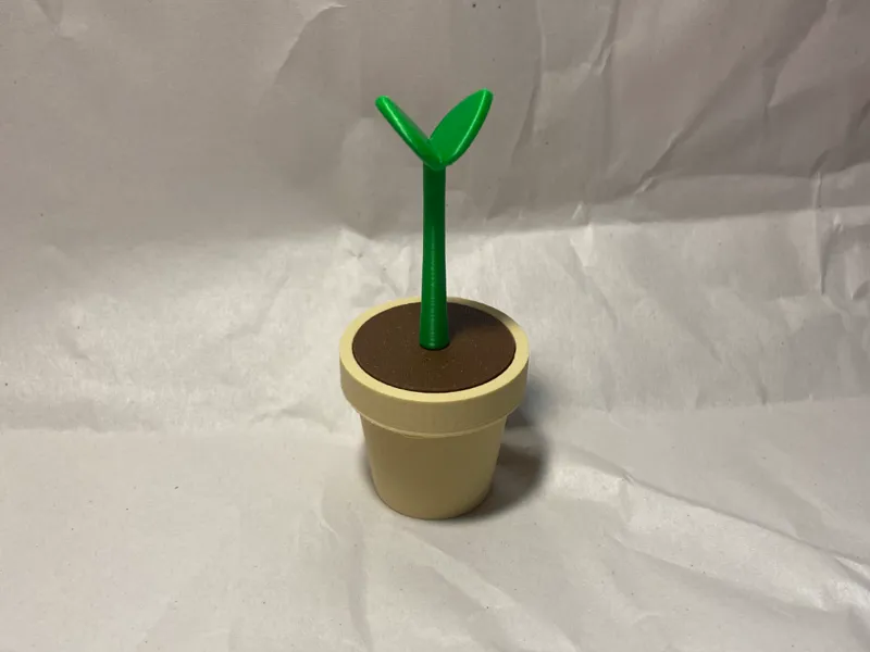 Mini Seedling