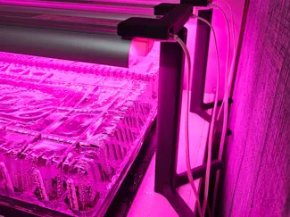 Barrina T8 Dual Grow Light Stand