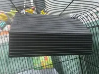 普通款 不带横纹