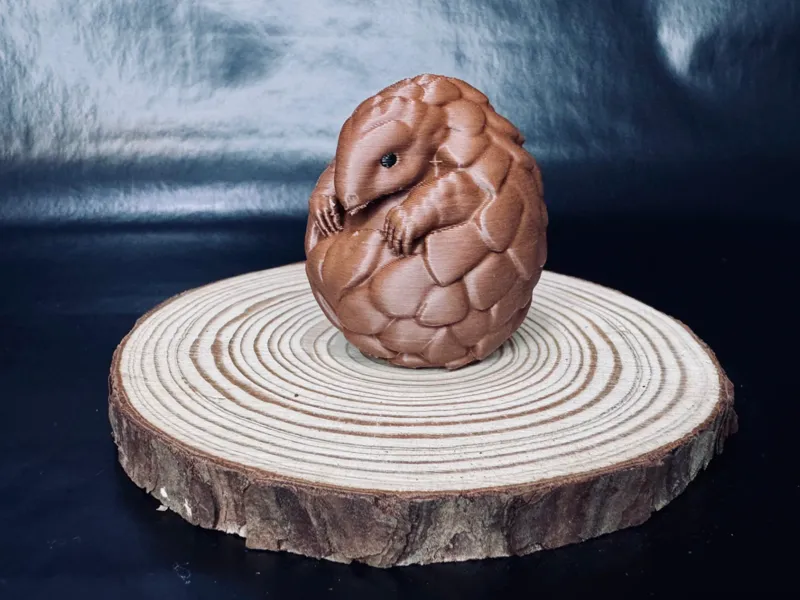 Curled Up Pangolin