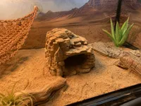 sandstone hideout (sm) 