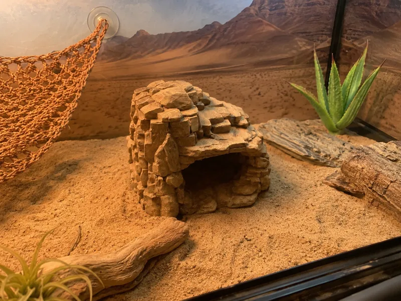 Desert Stone Hide
