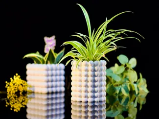 Bubble Vase