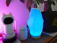 Crystal Flow Lamp - 2hrs print
