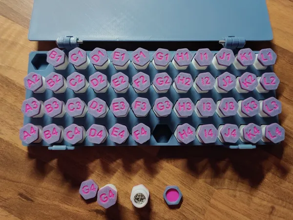 https://makerworld.bblmw.com/makerworld/model/USb85f8af1708309/design/2025-01-22_a539bc2a62cc4.jpg