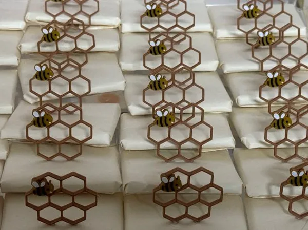https://makerworld.bblmw.com/makerworld/model/USb8610b921b4720/design/2025-06-24_346770188f8cc.jpg