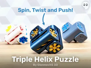 Triple Helix Puzzle (6 piece brainteaser + fidget)