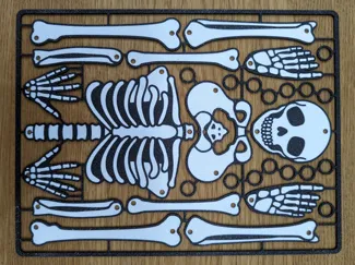 Decorative Halloween Skeleton 