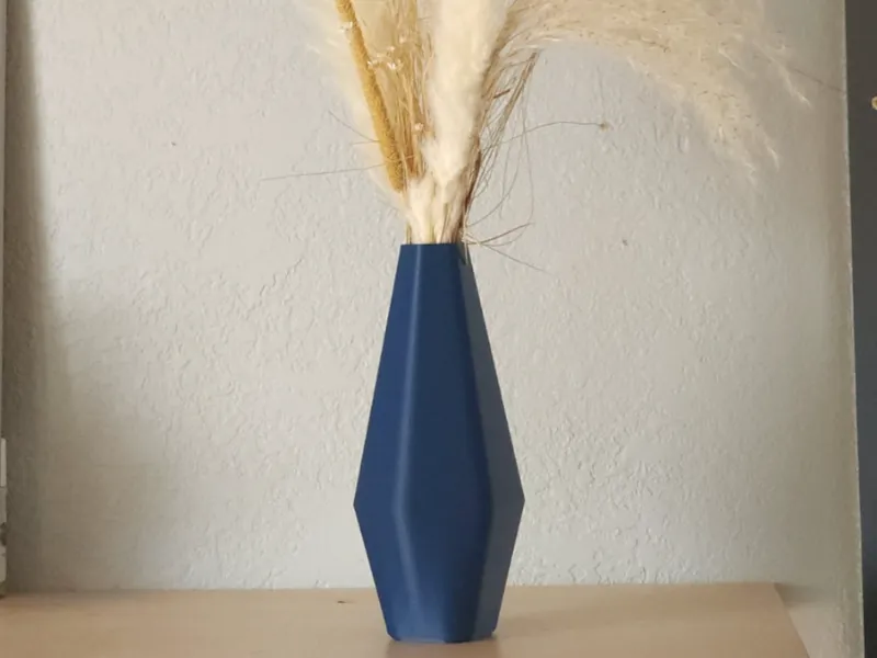 Inter Vase