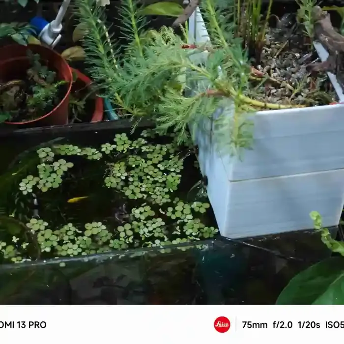 Filtre pour aquarium