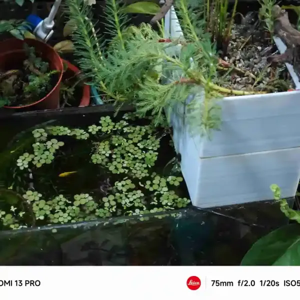 Filtre pour aquarium