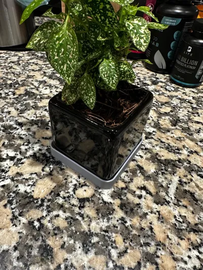https://makerworld.bblmw.com/makerworld/model/USb871e1f77e043e/339694815/ratings/9928f14cacb3454de4046f0b5053cbd8.jpeg