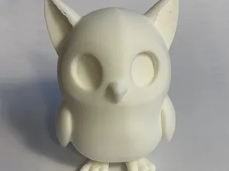 cute owl cat