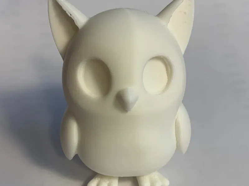 cute owl cat
