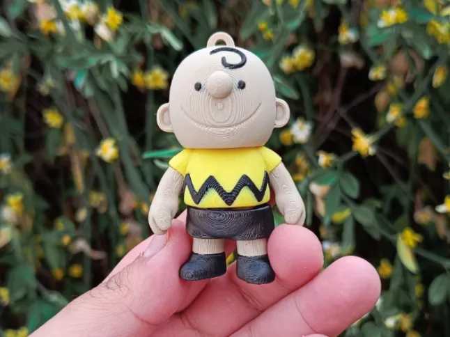 Flexi - Charlie Brown