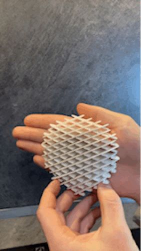 Smooth Morf Worm fidget