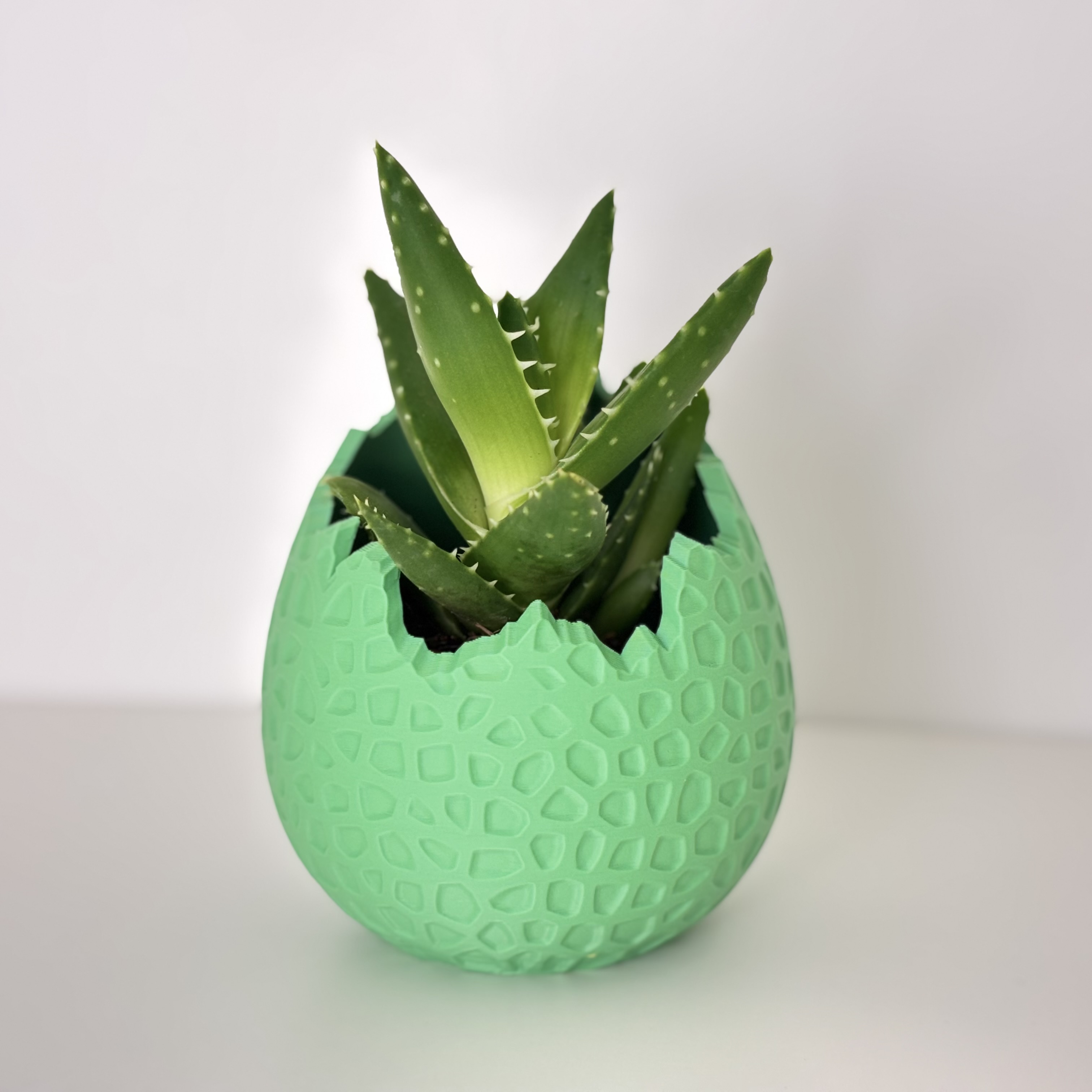 Miniatura 3 do modelo 3D Easter Cracked Egg Planter Collection