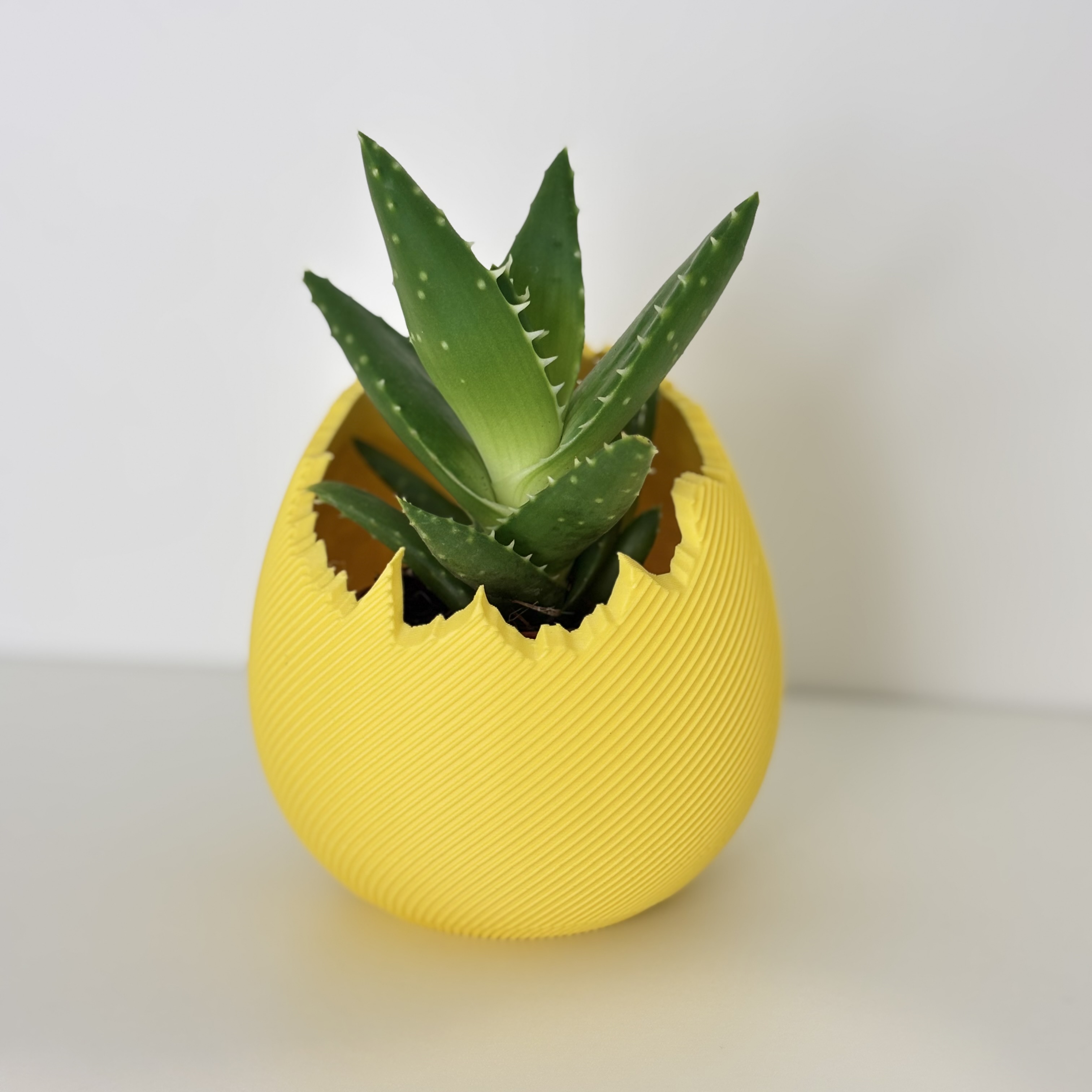 Miniatura 4 do modelo 3D Easter Cracked Egg Planter Collection