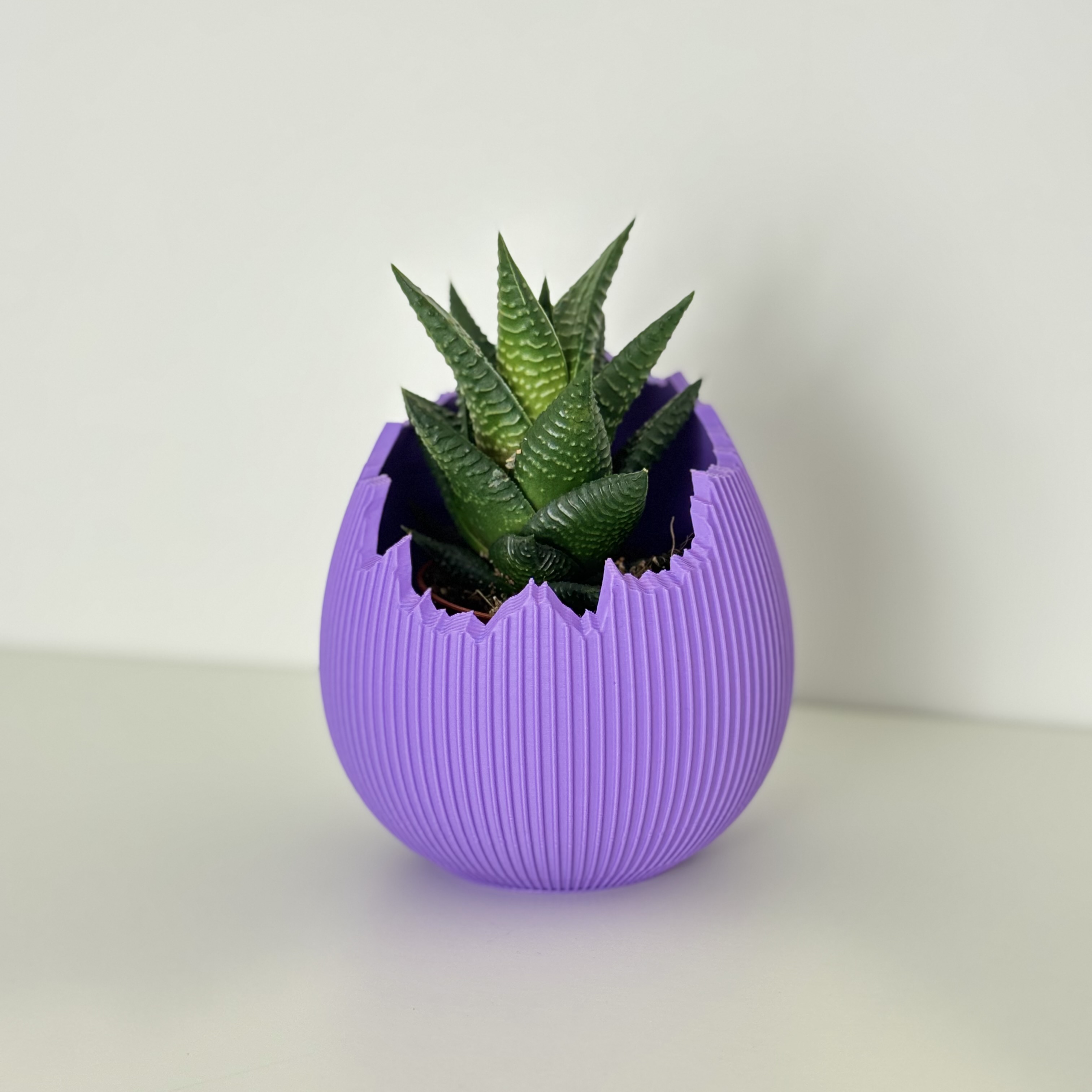 Miniatura 6 do modelo 3D Easter Cracked Egg Planter Collection