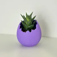 Ribbed texture