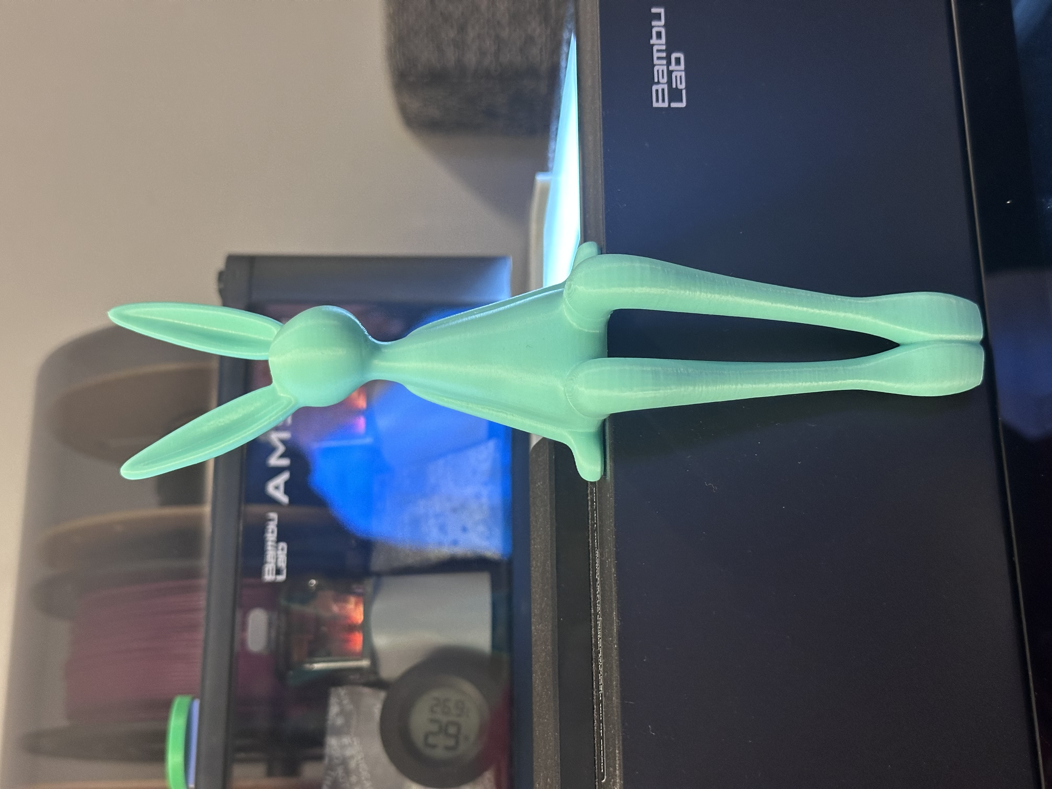 Miniatura 1 do modelo 3D Edge Bunny