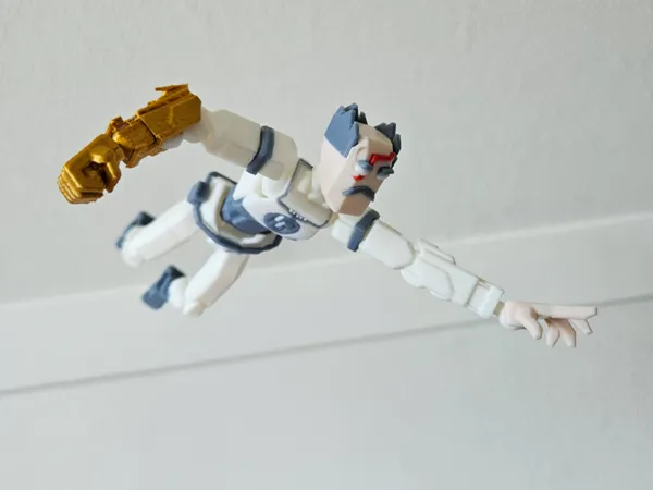 https://makerworld.bblmw.com/makerworld/model/USb890bc90151595/design/2025-04-28_2d2721e5aa8558.jpg